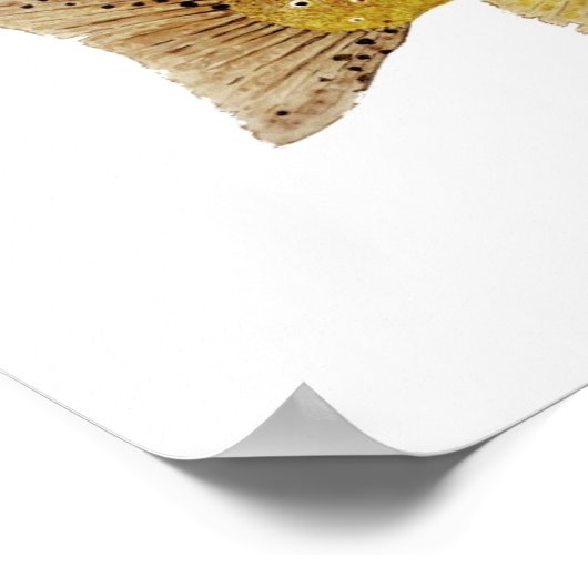 Poster d'art Brown truite (Coin)