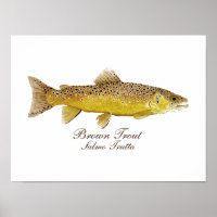 Poster d'art Brown truite