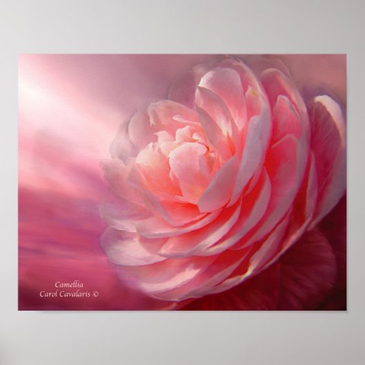 Poster d'art Camellia / Imprimer (Devant)