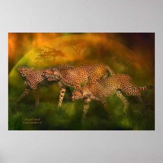 Poster d'art Cheetah World / Imprimer (Devant)