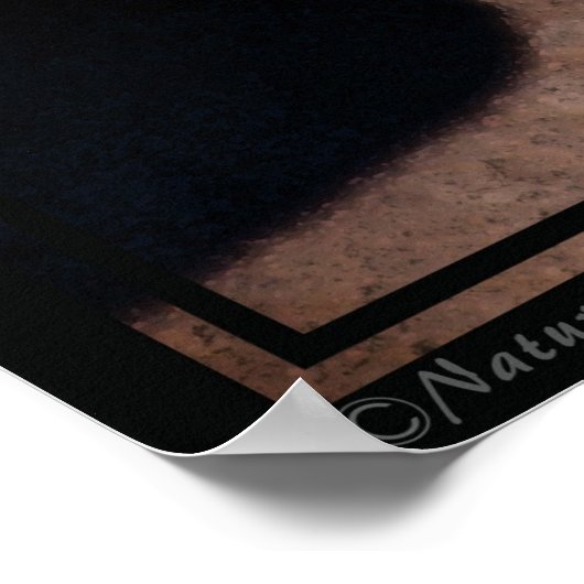 Poster d'art convivial pour les chevaux -40x60-cli (Coin)