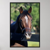 Poster d'art convivial pour les chevaux -40x60-cli (Devant)