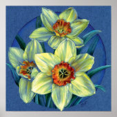 Poster d'art "Daffodils - les joies du printemps" (Devant)