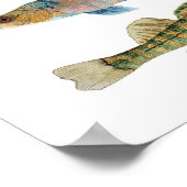 Poster d'art Darters d'eau douce (Coin)