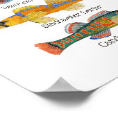 Poster d'art Darters d'eau douce (Coin)