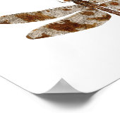 Poster d'art de 3 espèces de libellules (Coin)