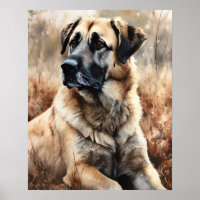 Poster d'art de chien de berger anatolien
