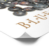 Poster d'art de cuisine Blueberries (Coin)