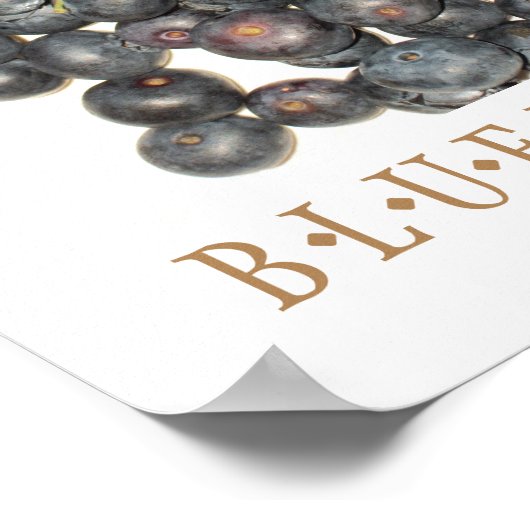 Poster d'art de cuisine Blueberries (Coin)