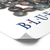 Poster d'art de cuisine Blueberries (Coin)