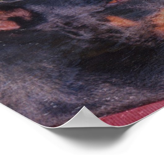 Poster d'art de Doberman River Rocks Imaginaire (Coin)