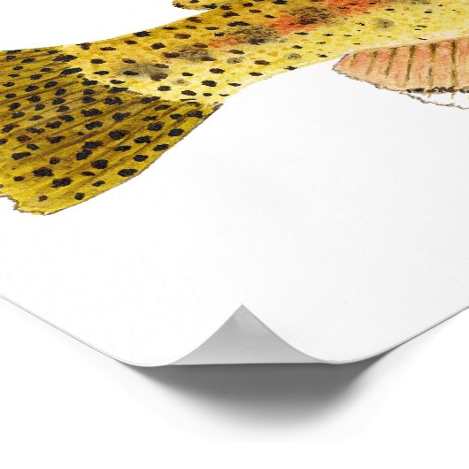 Poster d'art de la truite arc-en-ciel de Kern Rive (Coin)