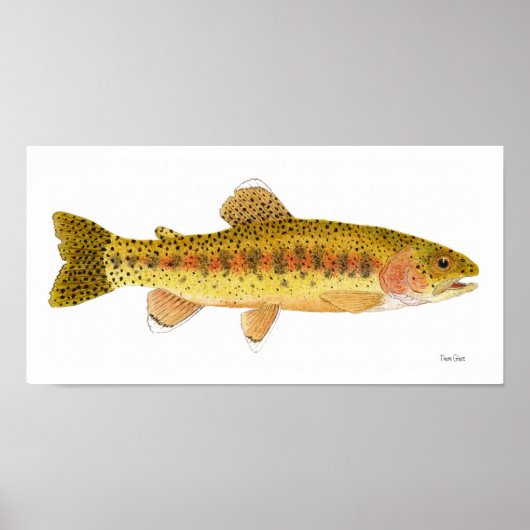 Poster d'art de la truite arc-en-ciel de Kern Rive (Devant)