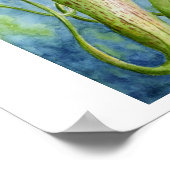 Poster d'art de l'aquarelle Borneo Nepenthes (Coin)