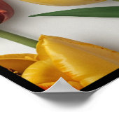 POSTER D'ART DE MUR (Coin)