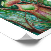 Poster d'art de Nepenthes Marcophylla Watercolor (Coin)