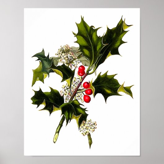 Poster d'art de Noël #8 Christmas Holly Wall Art (Devant)