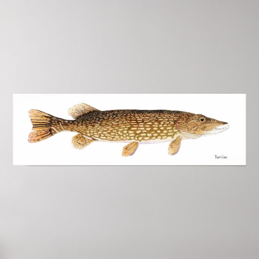 Poster d'art de Northern Pike (Devant)