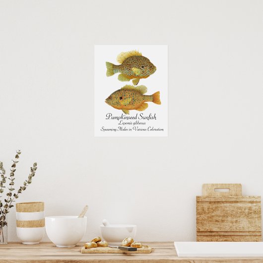 Poster d'art de poisson rouge (Cuisine)