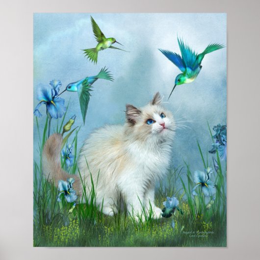 Poster D'Art De Ragdoll Kitty Et Hummingbirds (Devant)