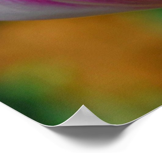Poster d'art de Tulipe violette (Coin)