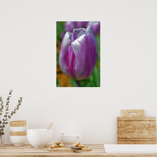 Poster d'art de Tulipe violette (Cuisine)