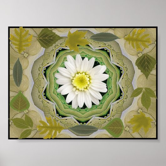 Poster d'art d'Hydrangeas (Devant)