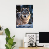 Poster d'art du loup de Yellowstone (Bureau à domicile)