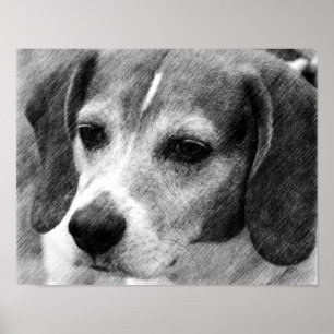 Poster d'art du visage de chien beagle