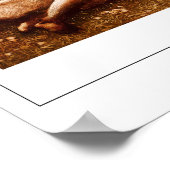 Poster d'art Edward Burne-Jones Zedign #18 (Coin)