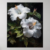 Poster d'art en Hibiscus blanc (Devant)