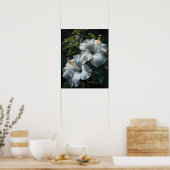 Poster d'art en Hibiscus blanc (Cuisine)