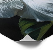 Poster d'art en Hibiscus blanc (Coin)