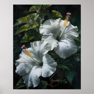 Poster d'art en Hibiscus blanc
