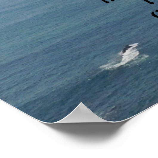 POSTER D'ART ET DE CONCEPTION (Coin)