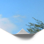 POSTER D'ART ET DE CONCEPTION (Coin)