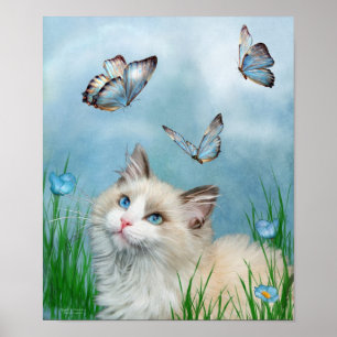 Poster D'Art Et Papillons Ragdoll Kitty Et Papillo