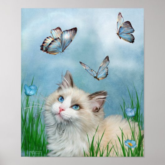 Poster D'Art Et Papillons Ragdoll Kitty Et Papillo (Devant)