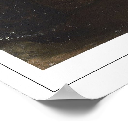 Poster d'art Eugène Delacroix Zedign #527 (Coin)