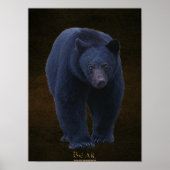 Poster d'art faunique de l'ours noir avec Faux-cui (Devant)