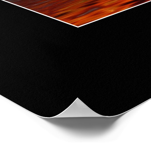 Poster d'art FIRESTORE Bald Eagle (Coin)