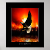 Poster d'art FIRESTORE Bald Eagle (Devant)