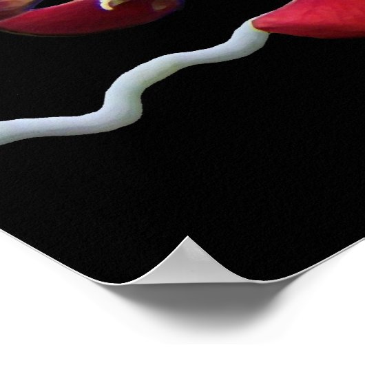 Poster d'Art Floral (Coin)