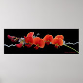 Poster d'Art Floral (Devant)