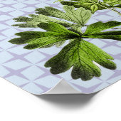 Poster d'art floral de la Columbine vintage (Coin)