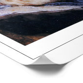 Poster d'art Francisco Goya Zedign #514 (Coin)