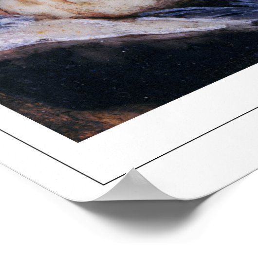 Poster d'art Francisco Goya Zedign #514 (Coin)