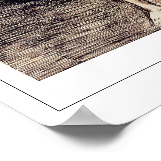 Poster d'art Francisco Goya Zedign #517 (Coin)