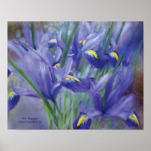 Poster d'art Iris Bouquet / Imprimer (Devant)