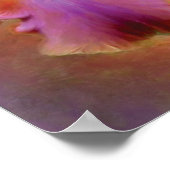 Poster d'art Iris Peint / Imprimer (Coin)